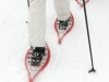 Geführte Schneeschuhwanderung